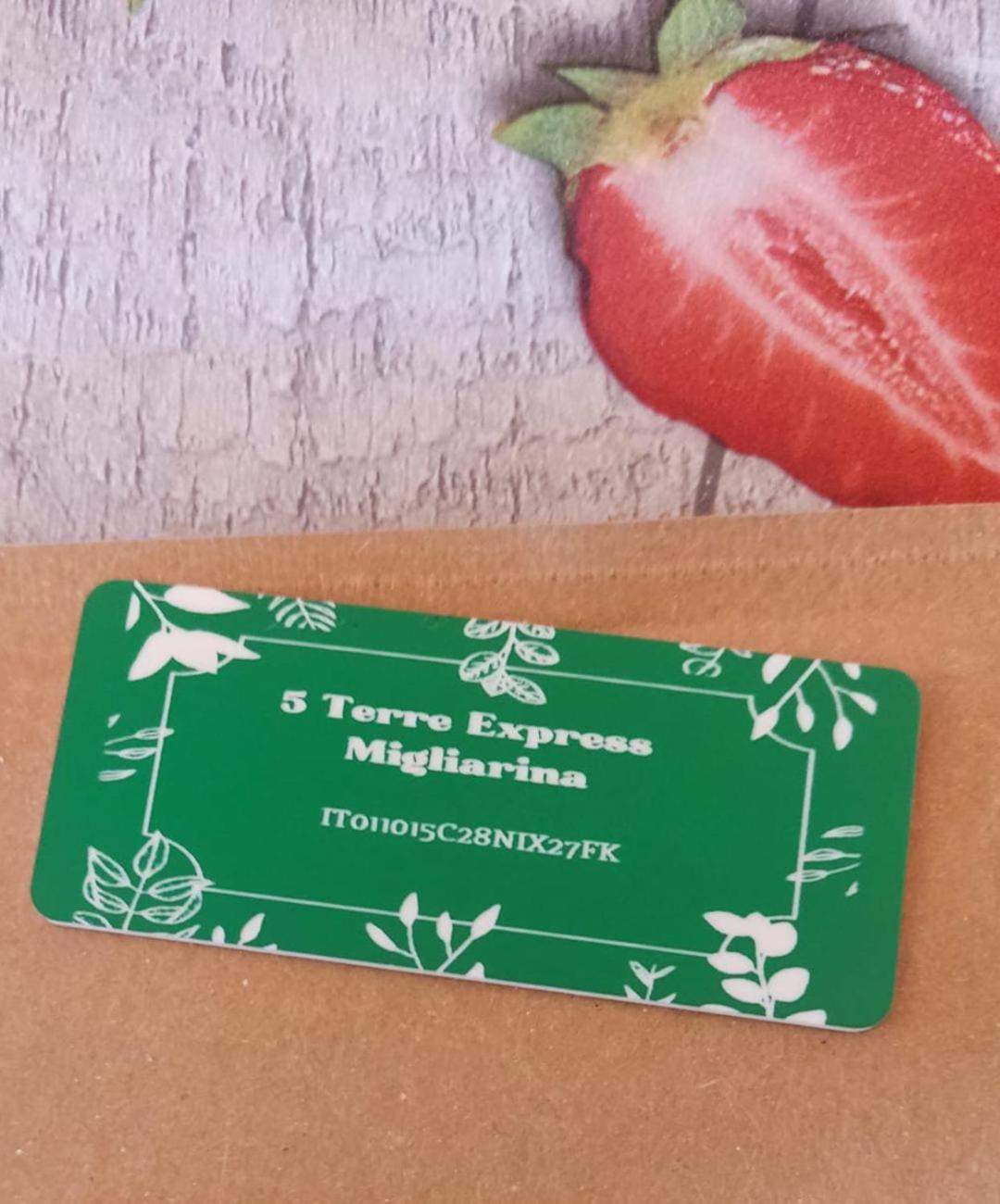 라스페치아 5 Terre Express Migliarina 아파트 외부 사진
